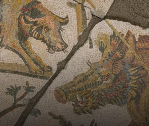 Dettaglio del Mosaico con le scene di caccia alla Centrale Montemartini